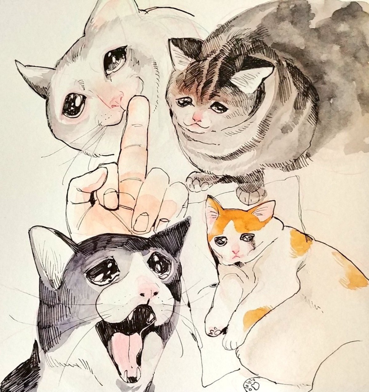 Коты арты